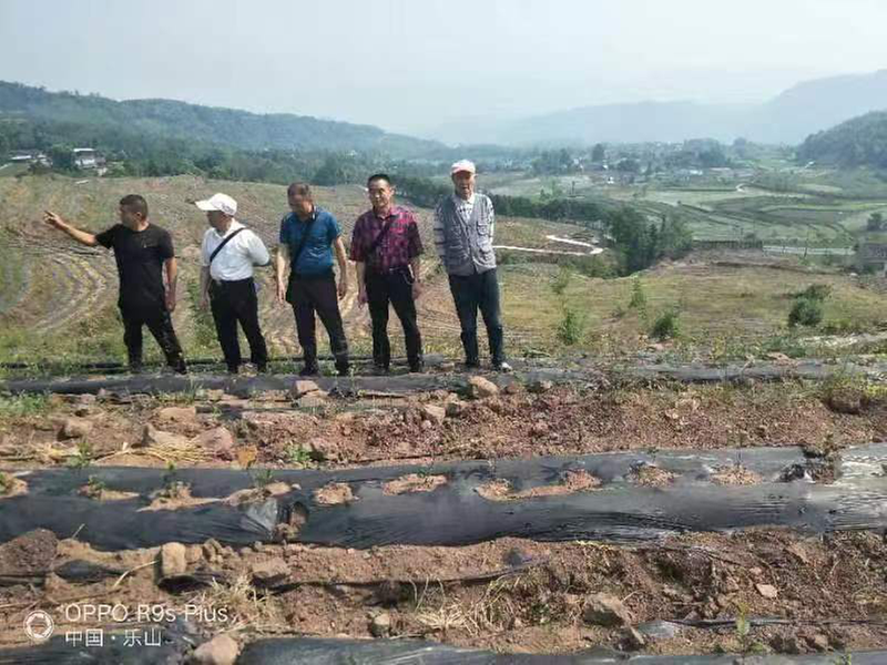 沙湾区老科协开展我为群众办实事“百日攻坚”专项行动