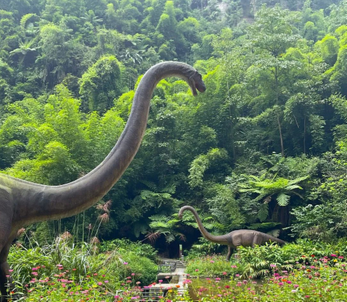 嘉阳桫椤湖景区图片