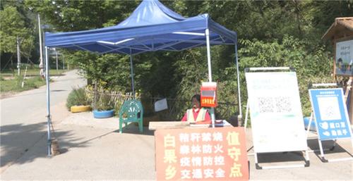 白果乡：重巡护 强宣传  织牢森林防火“安全网”