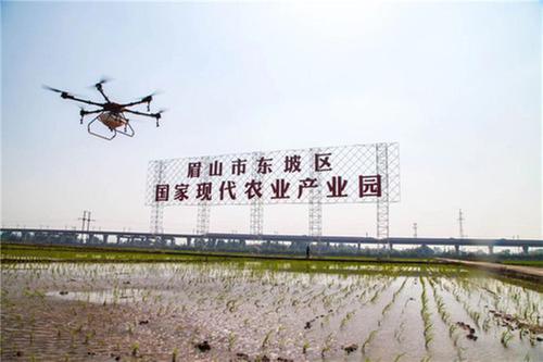 东坡区：扎实做好“大实践”以虫治虫行动