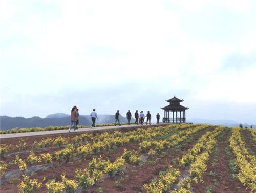 “科技下乡万里行”服务团走进威远县