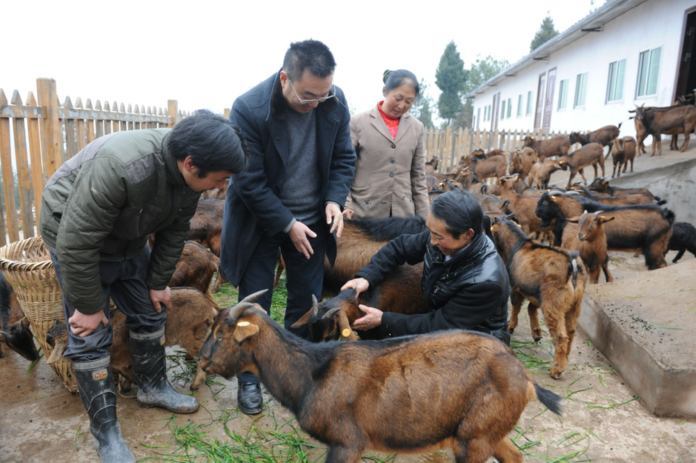 南江县科协开展“‘你有需 我来帮’送科技人才下乡万里行”活动