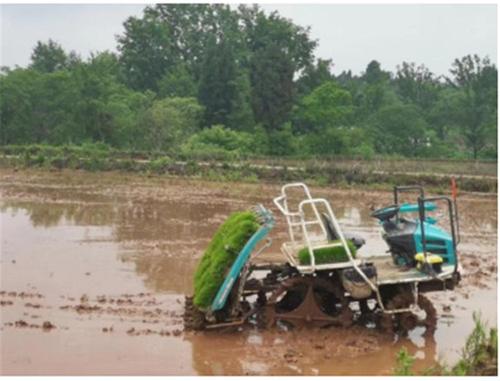 东兴区科协组织开展科技下乡活动