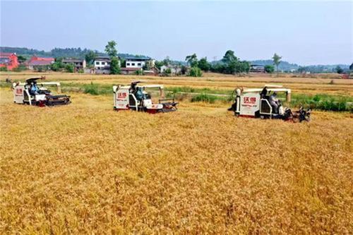 仁寿：农业园区提档升级  示范引领高品质发展