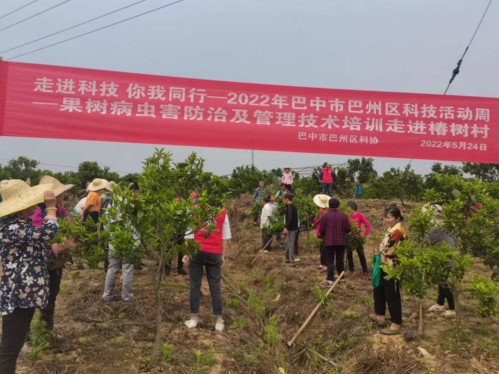 巴州区科协深入乡村送科技