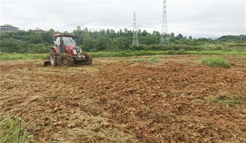 前锋区大佛寺街道：疫情过后种豆忙