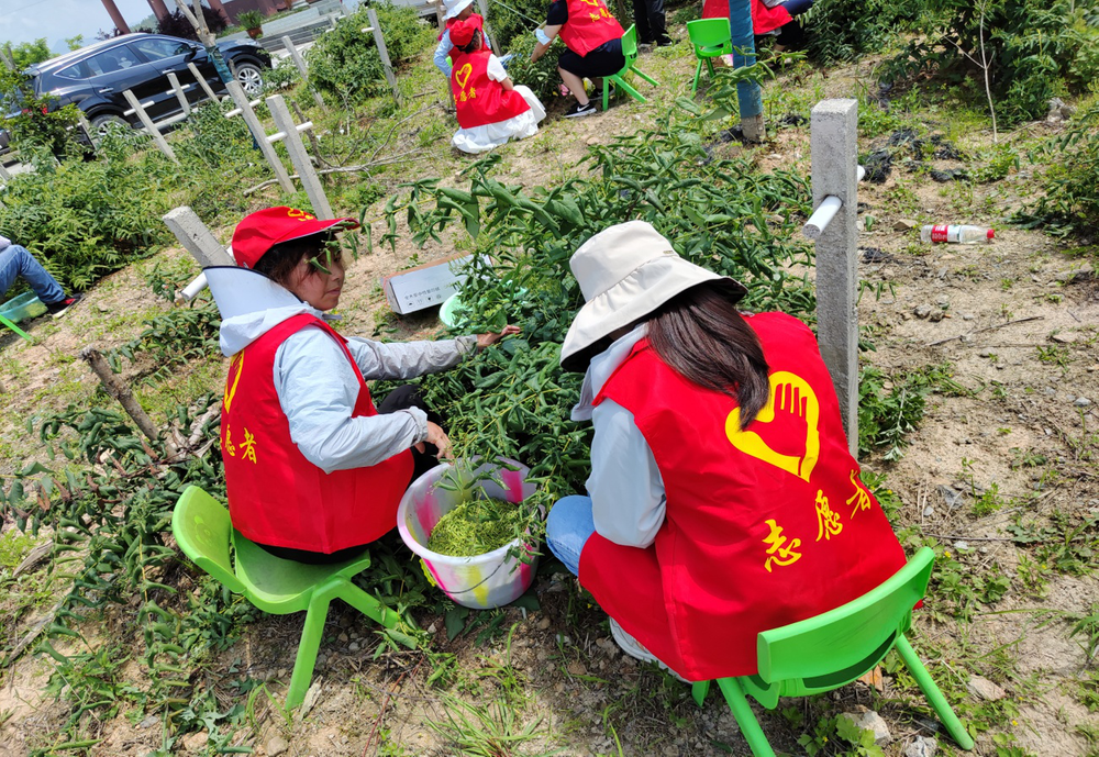 兴马镇文明实践志愿服务队：哪里有需，帮哪里