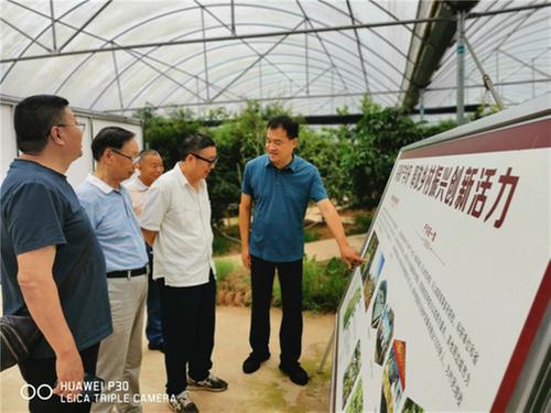 乐山市老科协深入市中区白象谷农村综合体调研