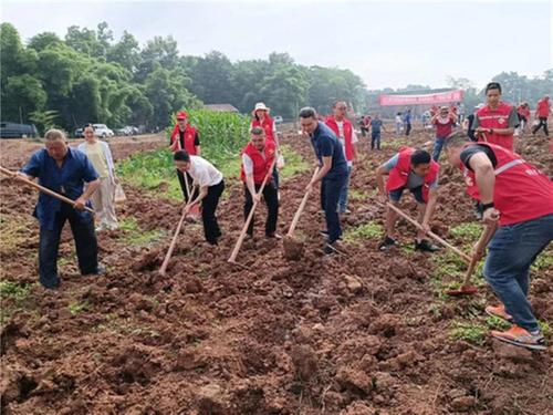简阳市：志愿者参与撂荒地复耕复种助力乡村振兴