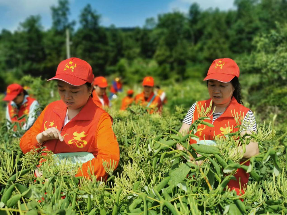 国网南江县供电公司：热情服务暖民心
