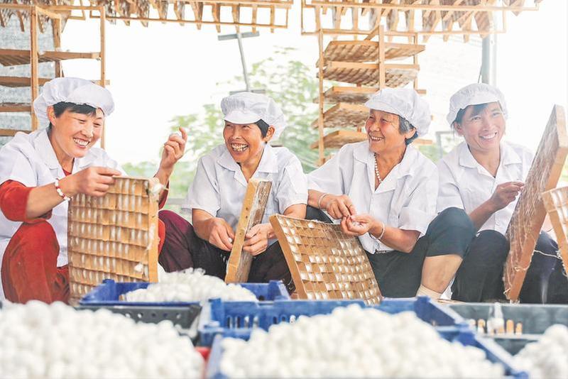 蚕桑之乡拓宽新“丝”路