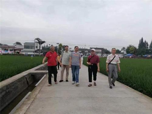 沙湾区老科协到东坡区太和镇永丰村参观学习