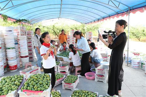 广安：研学旅行进果园 直播带货助增收