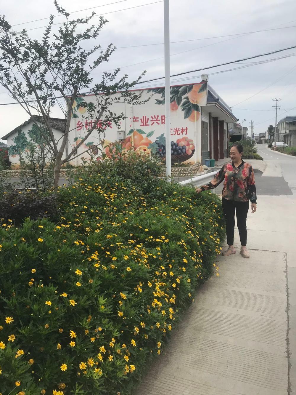 万胜镇：党群活动助美丽乡村添彩