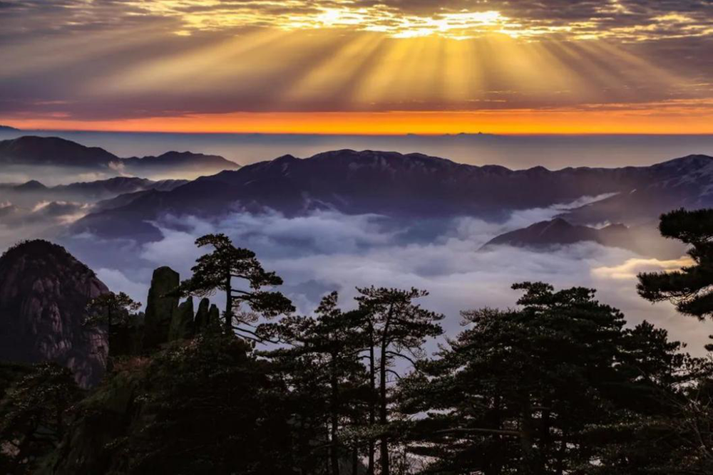 旅游直播  一周销售额破4000万