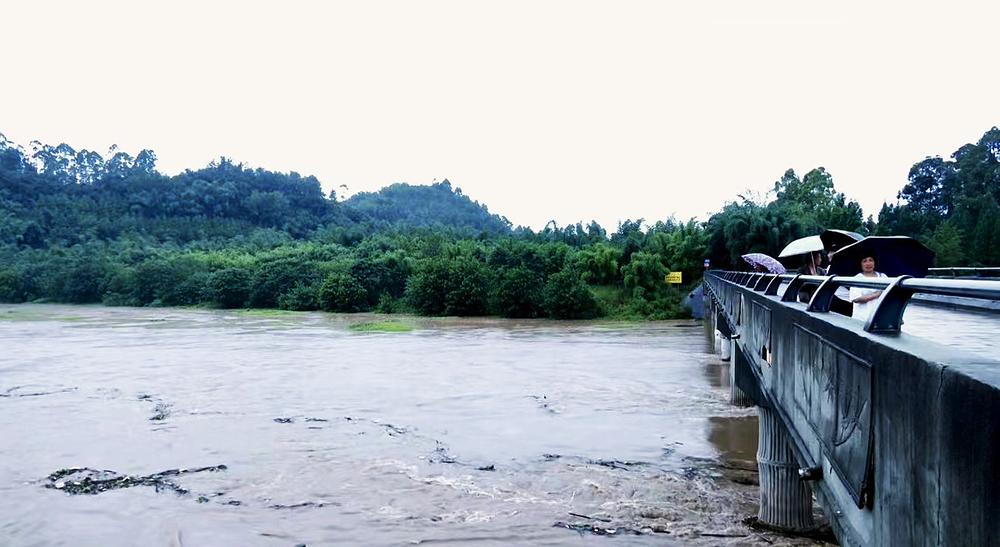 最大降雨量179.7毫米  青神县全力做好强降雨防御应对工作