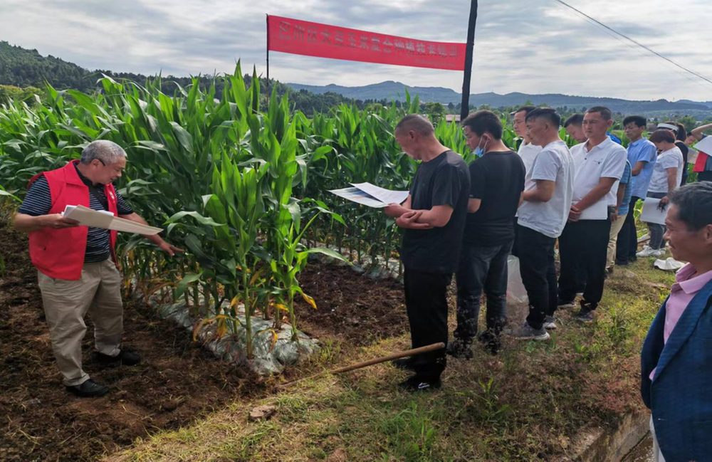 巴州区科协：“六措施”扎实推进清廉机关建设