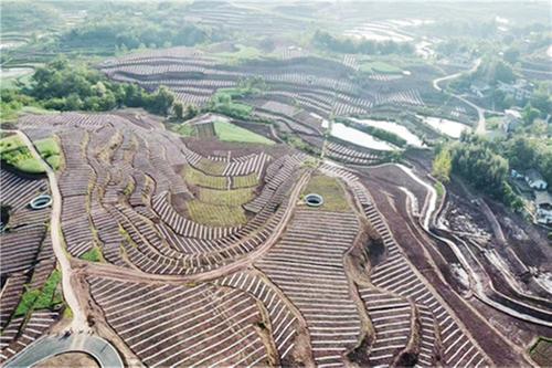 三溪镇：发挥监督作用 让土地“活”起来