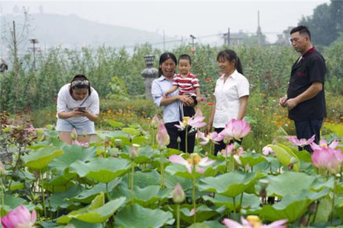 青神县：发展新产业新业态 群众“鼓起钱袋子”