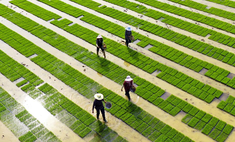 专访南充市委书记朱家德：牢记嘱托 实干担当 加快建设现代化区域中心城市