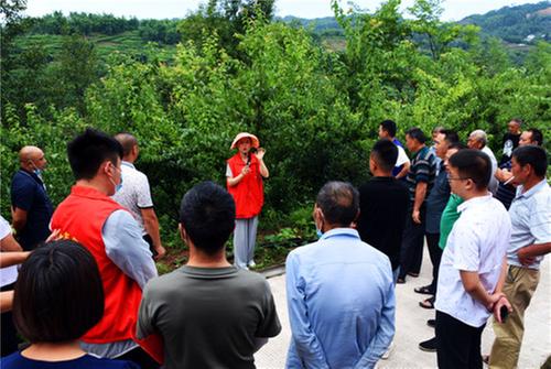 省农科院专家到峨山村传技术