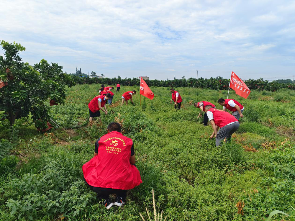 欣荣村：严守耕地红线 筑牢粮食安全防线