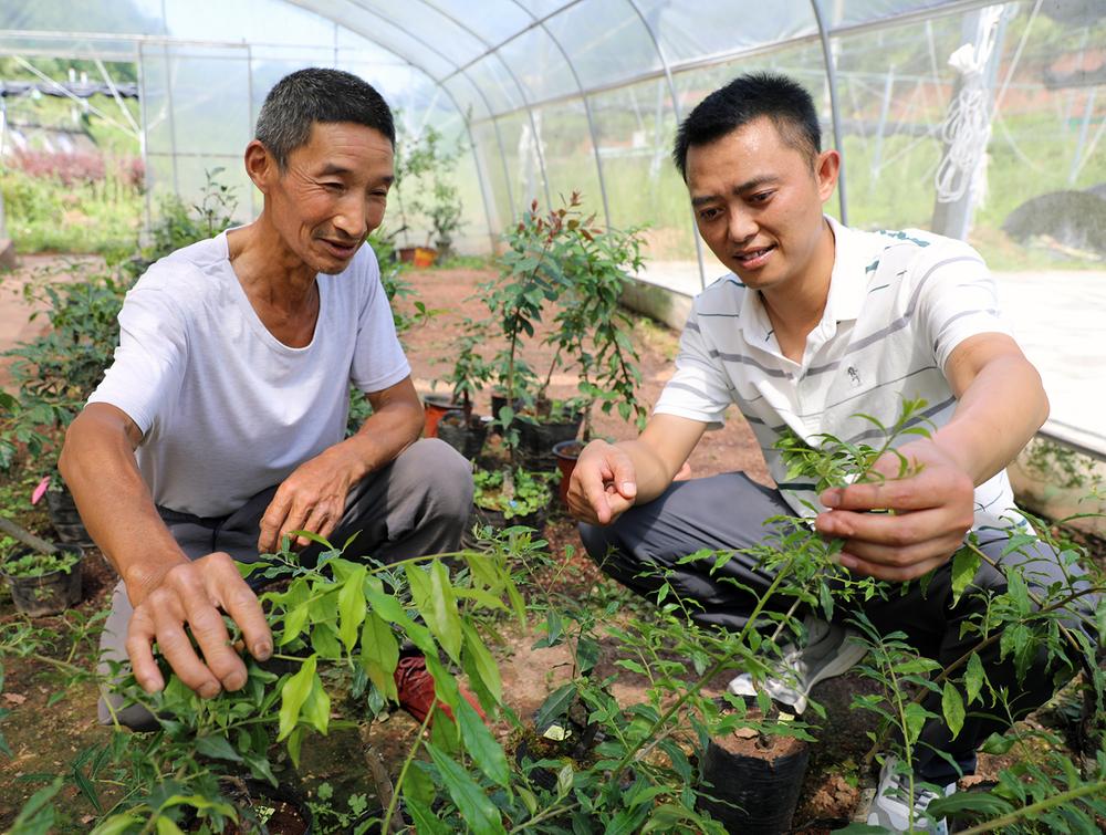 张场镇：因地制宜打造特色产业 多措并举助力乡村振兴