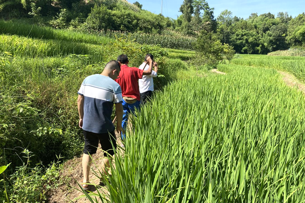 三古镇：解农田“渴”  润百姓舌根