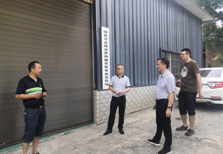 隆昌市科协到金隆油茶种植专合社调研