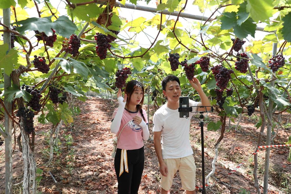 广安：电商助力产业发展