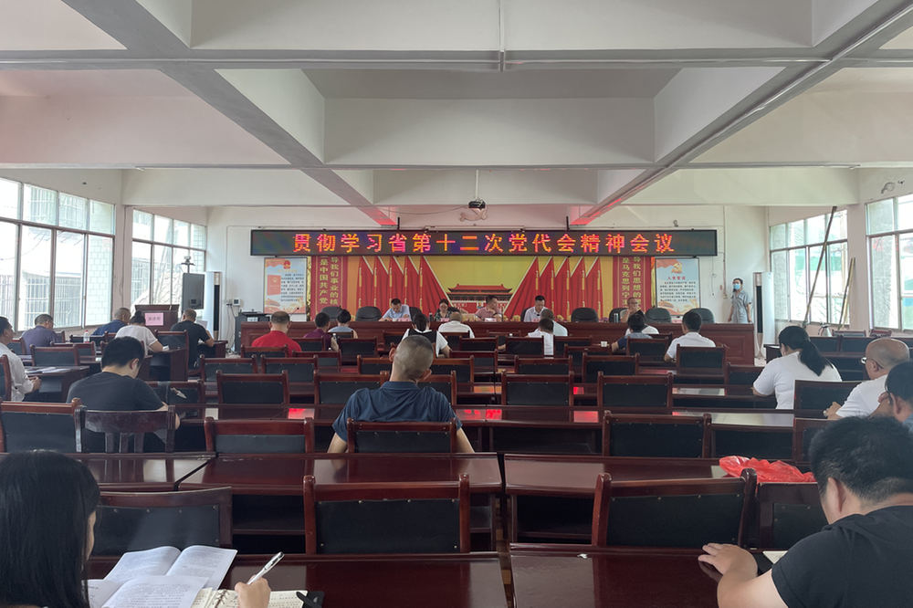 新场镇学习贯彻习近平总书记来川视察重要指示精神和省第十二次党代会精神