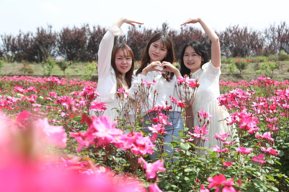  广安区“三产”融合有效衔接乡村振兴