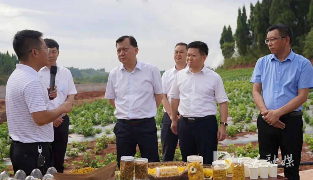 内江市全面治理农户承包地撂荒工作现场推进会在东兴区召开