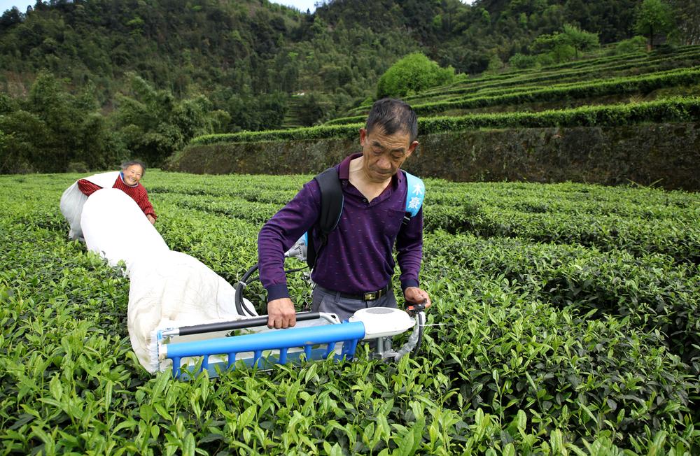 让村民在家门口就业创业