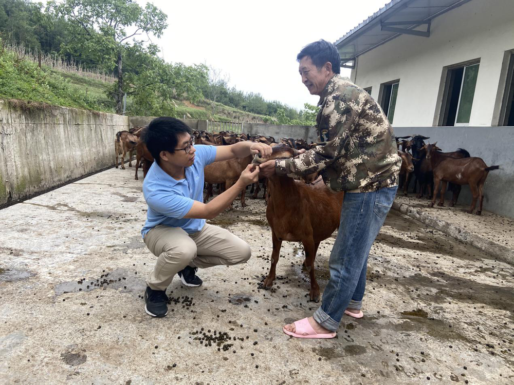 浙江省科技对口支援项目助推南江黄羊集约化养殖
