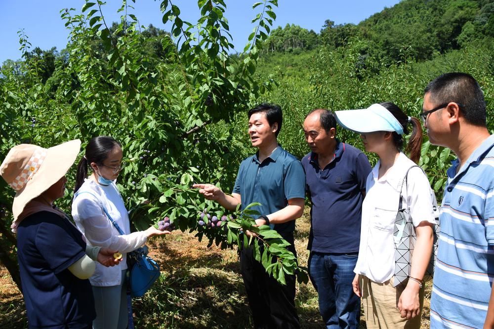 图片新闻|进果园搞科研