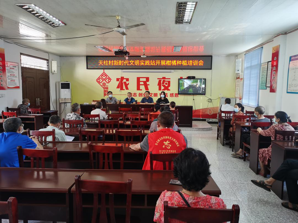 天柱村开展柑橘栽培和川芎种植技术培训