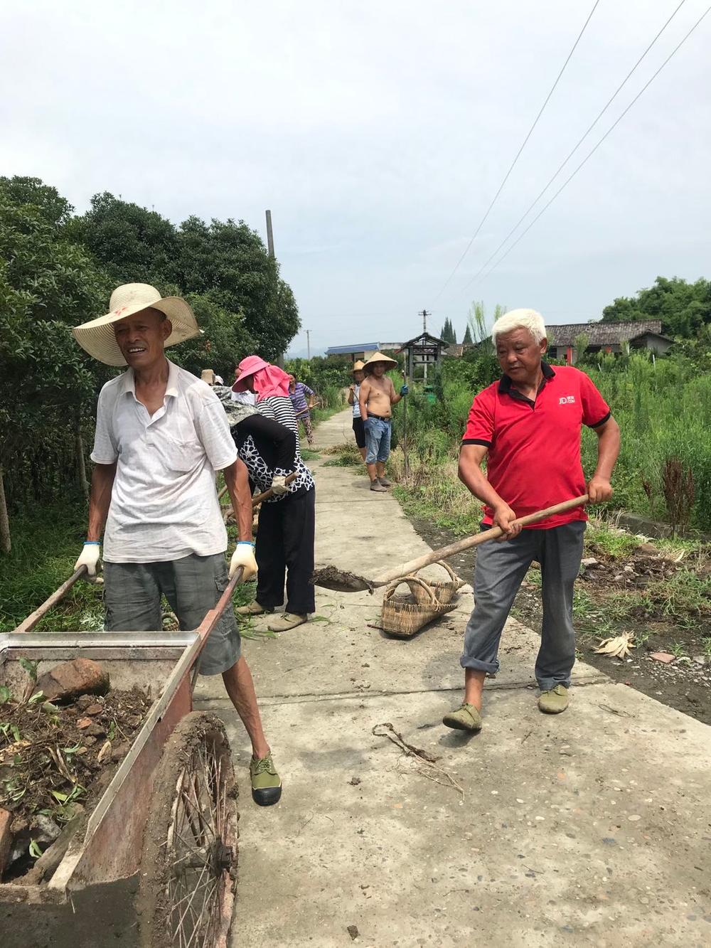 望苏村：做大水果产业 群众扩路热情高