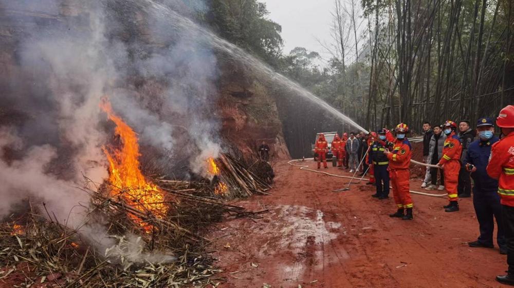 青神县：筑牢森林“防火墙” 多措并举防患于未“燃”