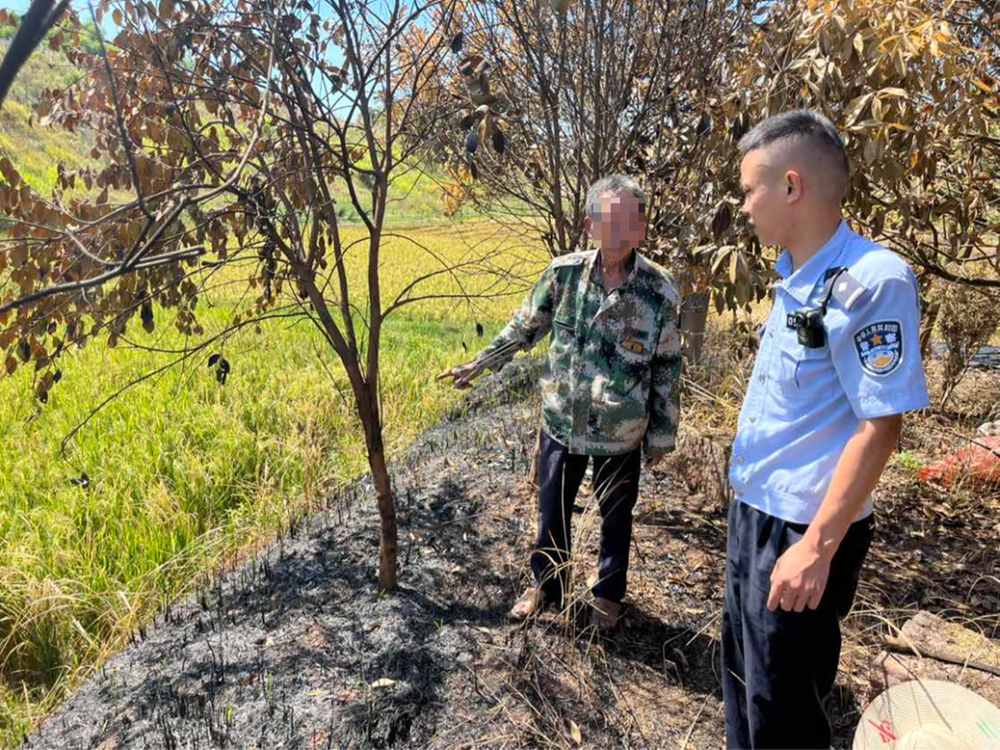 邻水县：两男子乱扔烟头引发火灾 均被行政拘留10日