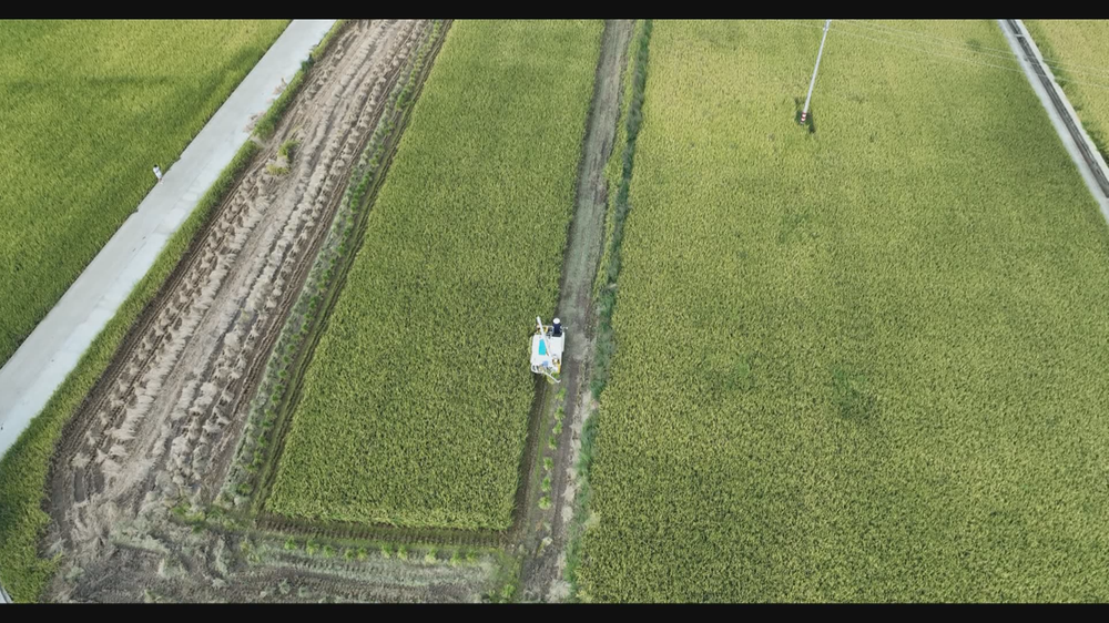 青神县：机械化采收 稻草变饲料 机主农户实现双赢