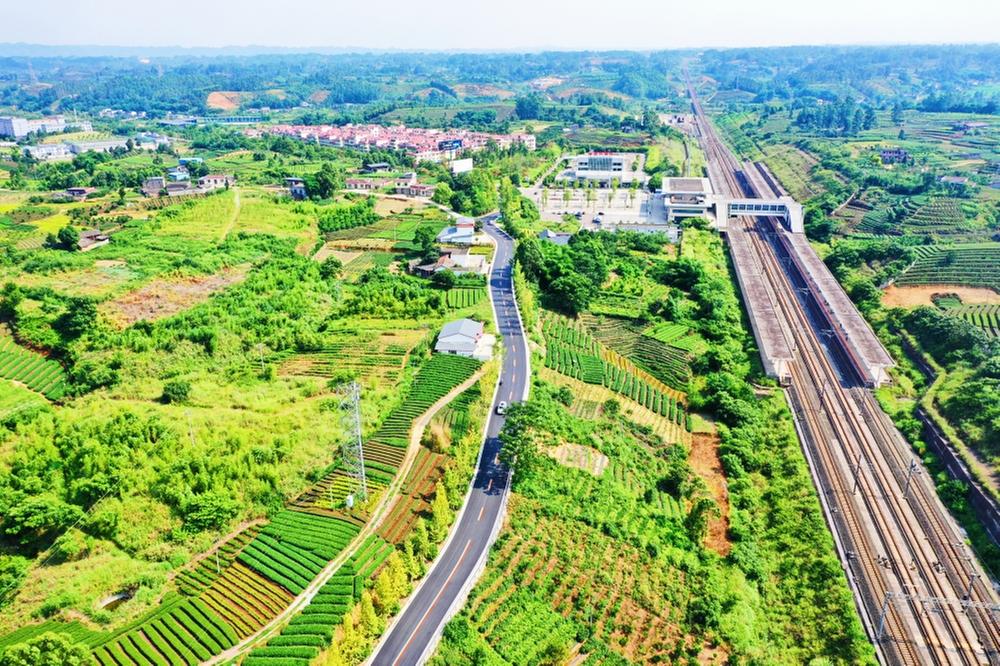 青神县：“四好农村路”铺就乡村振兴幸福路