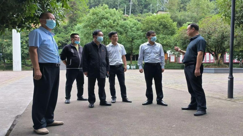 平昌县驷马小学开展主题党日活动