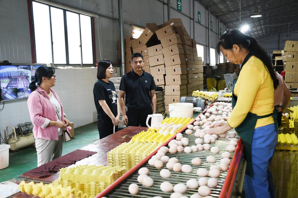 岳池县：智能化生态农业孵出“黄金蛋”