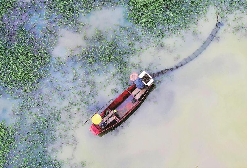 金秋蟹黄肥 农民捕捞忙