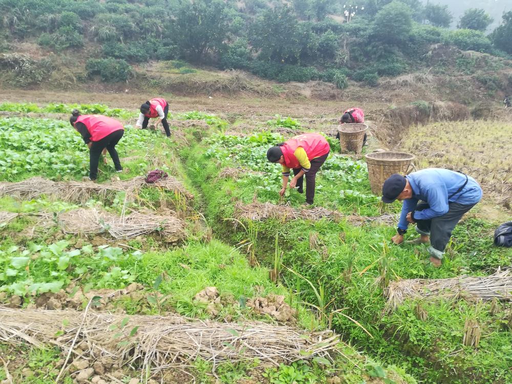 洪雅县：织牢“一老一小”民生保障网