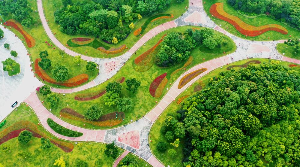 仁寿县：推进全民健身 添彩美好生活