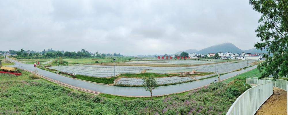 乐山市市中区：坝上风光正好