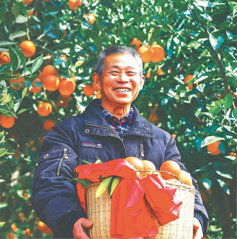 访资中血橙发源地——鲶鱼村：这里的血橙别样红