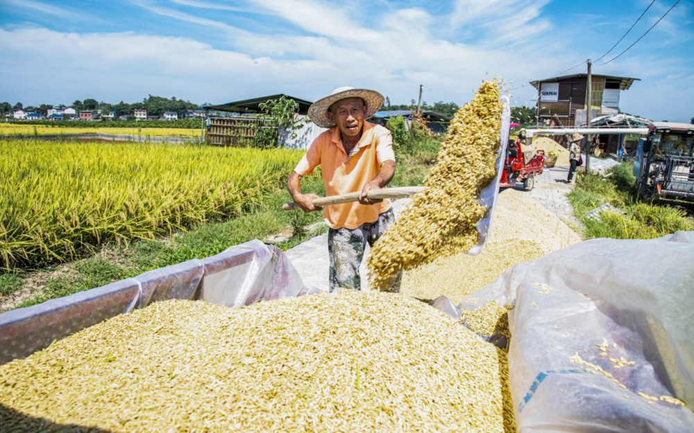武胜县：抓住产业“牛鼻子” 跑出乡村振兴“加速度”